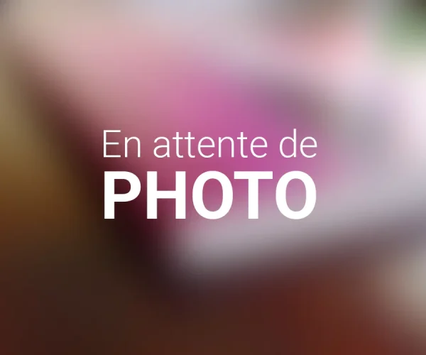 en-attente-photo
